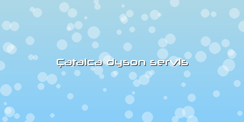 Çatalca Dyson Servis