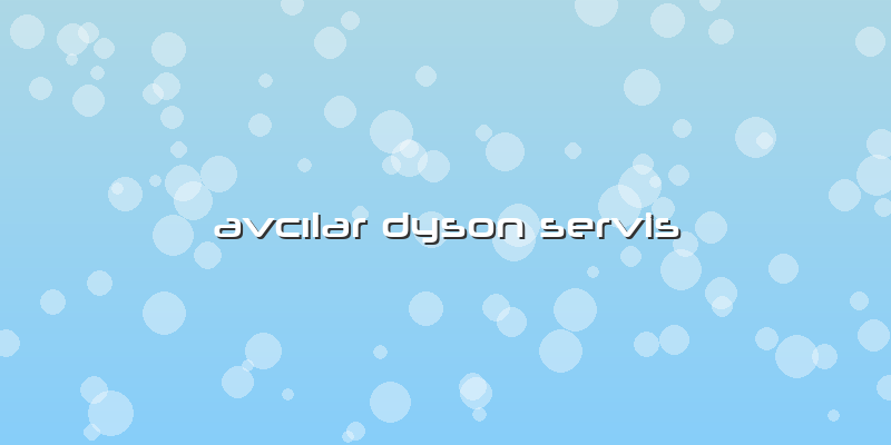 Avcılar Dyson Servis