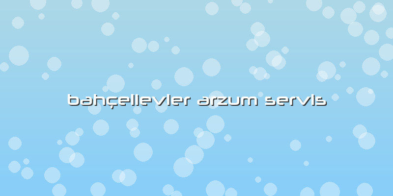Bahçelievler Arzum Servis