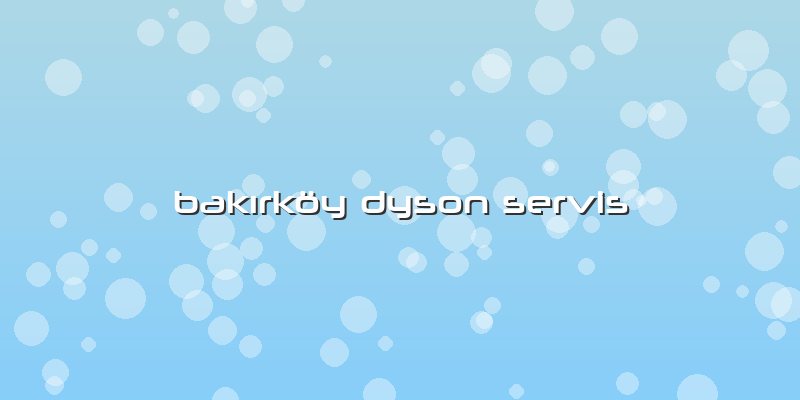 Bakırköy Dyson Servis