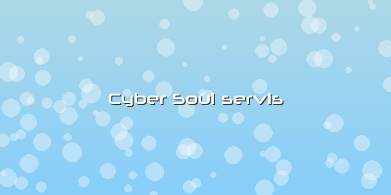 Cyber Soul Servis
