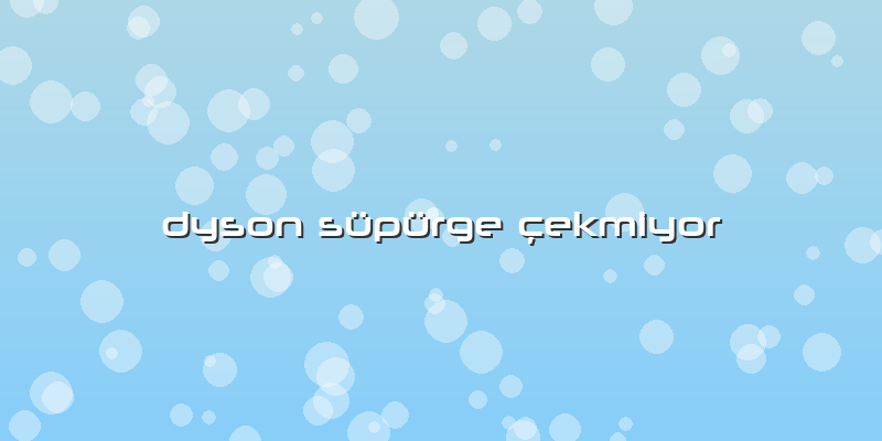 Dyson Süpürge çekmiyor