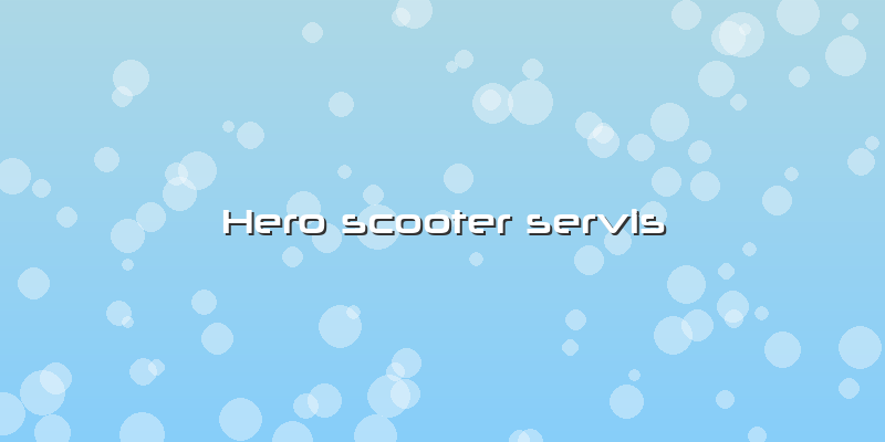 Hero Scooter Servis