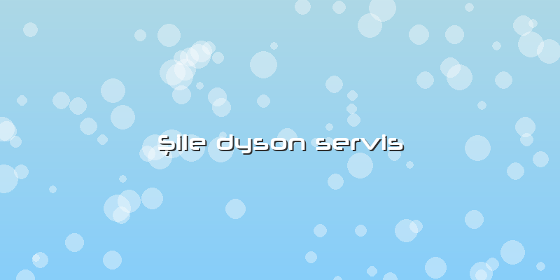 Şile Dyson Servis