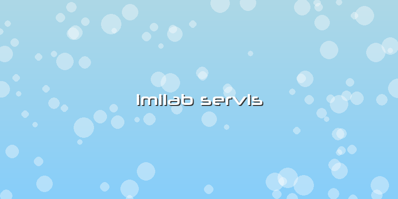 Imilab Servis