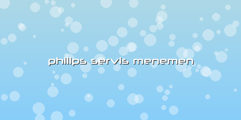 Philips Servis Menemen