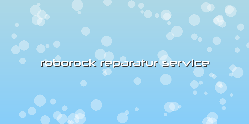 Roborock Reparatur Special Service