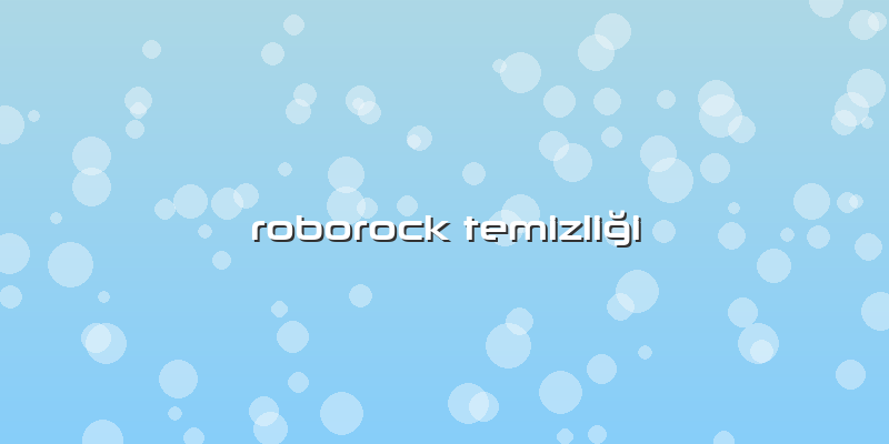 Roborock Temizliği