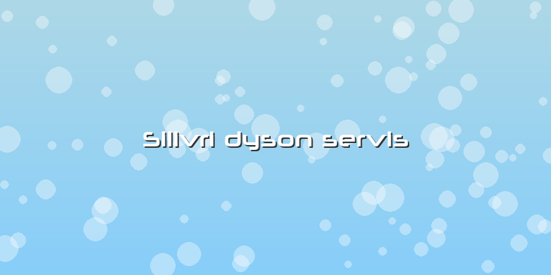 Silivri Dyson Servis