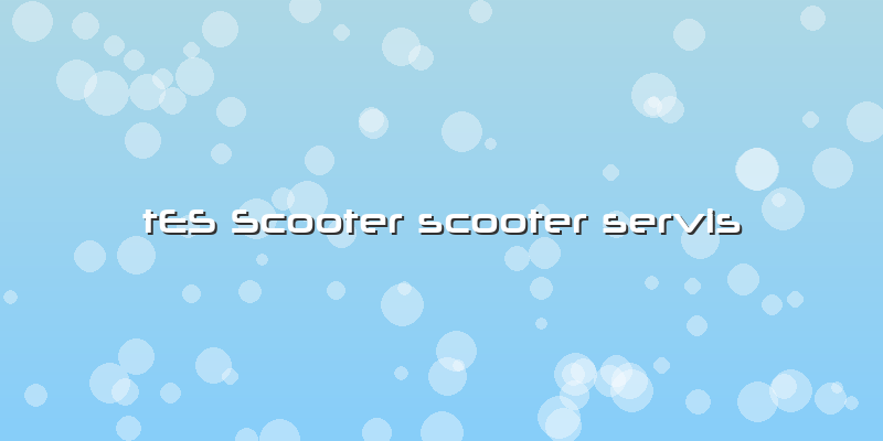 TES Scooter Scooter Servis