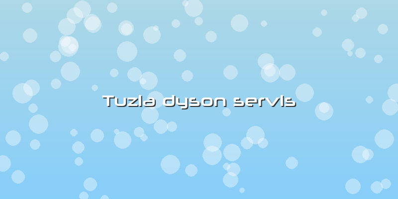 Tuzla Dyson Servis