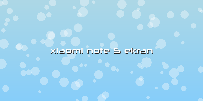 Xiaomi Note 5 Ekran